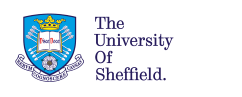 Masters in Social Work at the University of Sheffield
